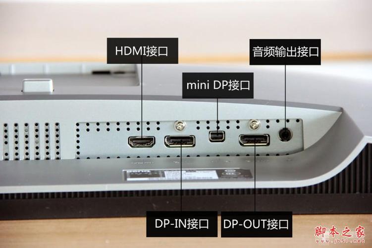 开放接口_开放接口