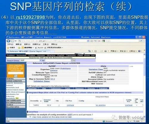 dbsnp数据库 _数据库