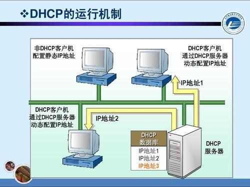 什么叫直接在服务器上运行