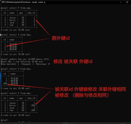 mysql主键外键_DDL