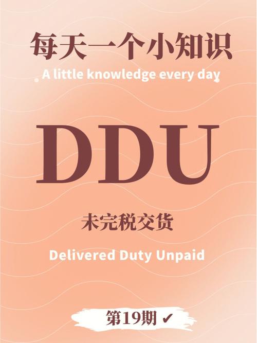 ddu怎么下载？