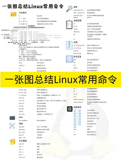 nano命令