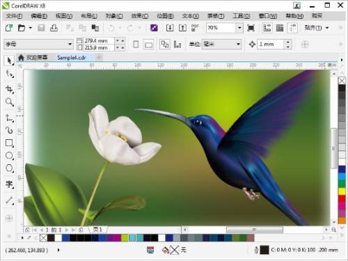 CorelDRAW12 简体中文版免费下载-CorelDRAW正版下载