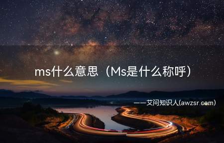 网络ms是什么意思