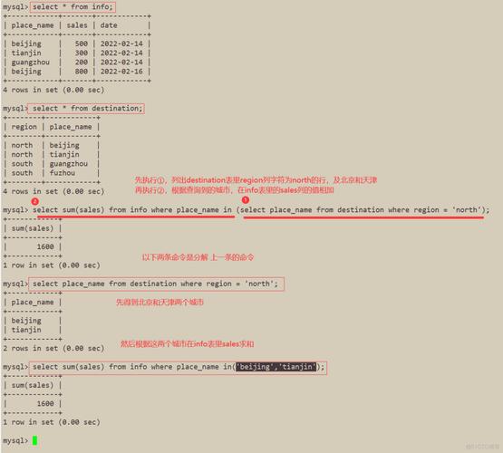 mysql 循环读取表数据库_循环语句