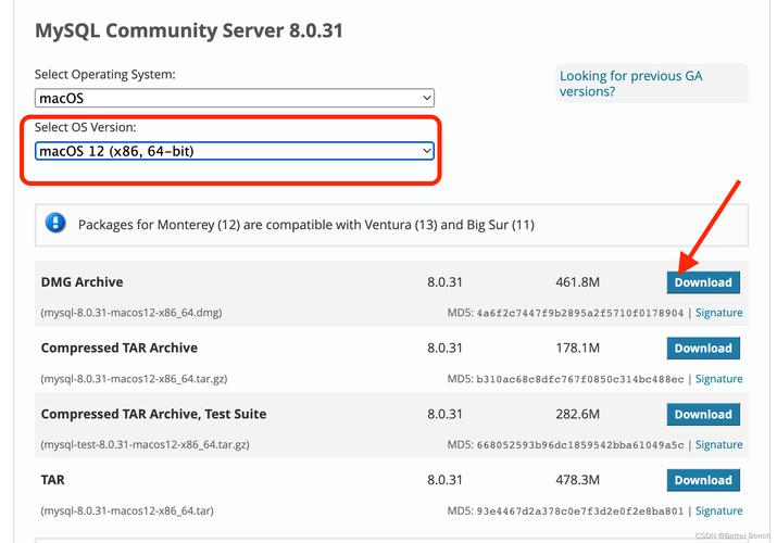 mac命令安装mysql数据库_安装MySQL