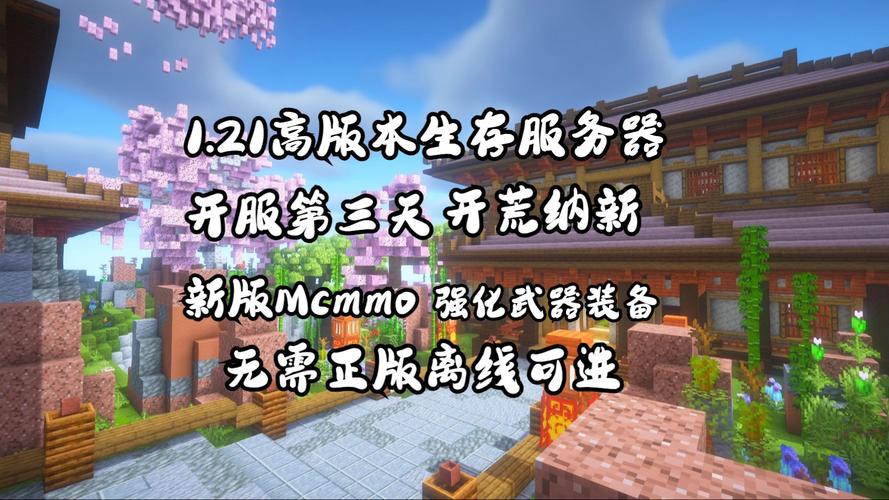 mc服务器客户端是什么_MC自定义策略