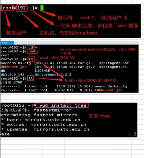 电脑服务器的基础命令是什么