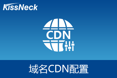 cdn域名是什么