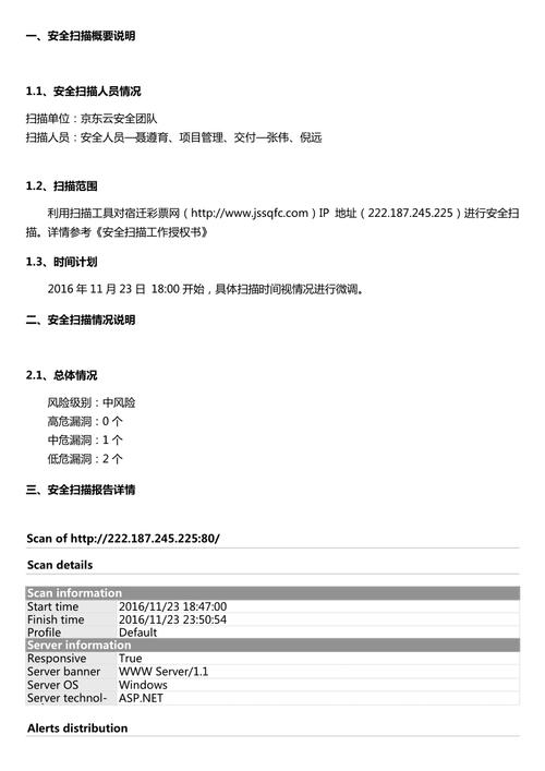 安全漏洞扫描报告(安全漏洞扫描报告内容)