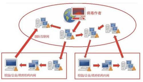 病毒和服务器是什么关系啊