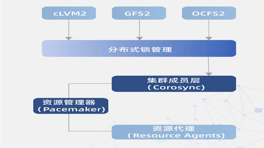 服务器有什么操作系统的