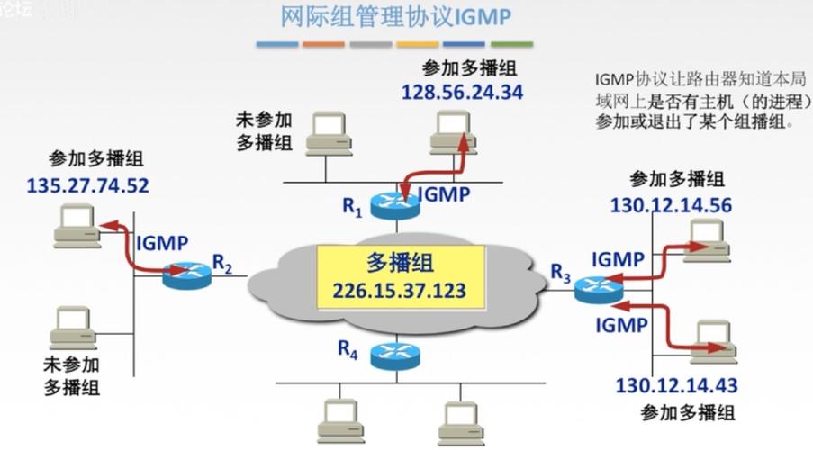 组播cdn