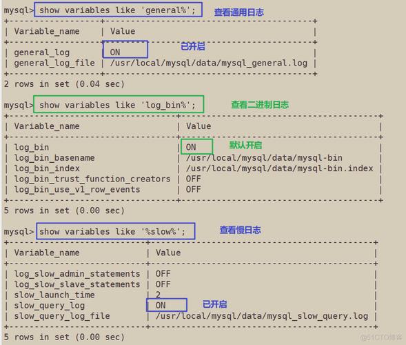 mysql备份和恢复表数据库表_备份和恢复