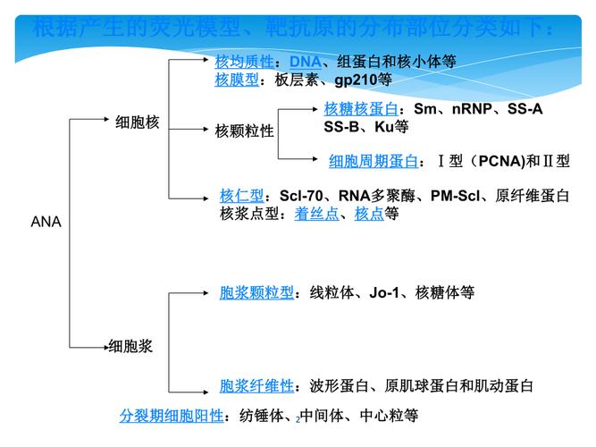 UAA的概念及功能是什么