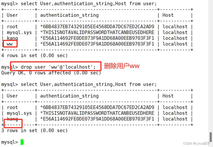 MySQL数据库综合试题_试题管理