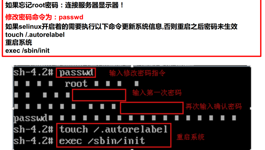 linux服务器怎么查看数据库密码是什么