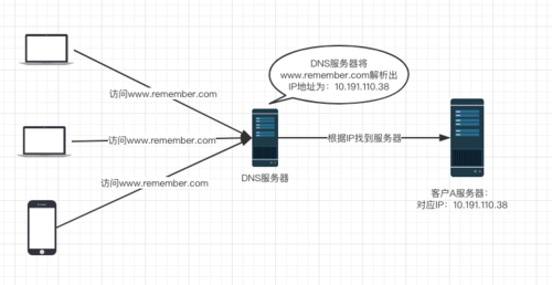 域名服务器的区别与联系是什么