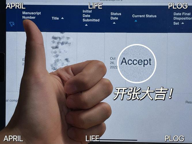 accept函数