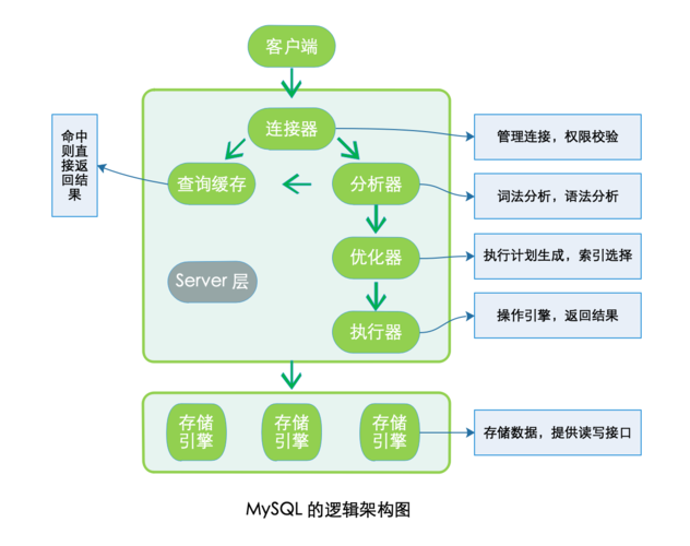 mysql查看数据库结构图_数据库逻辑结构图