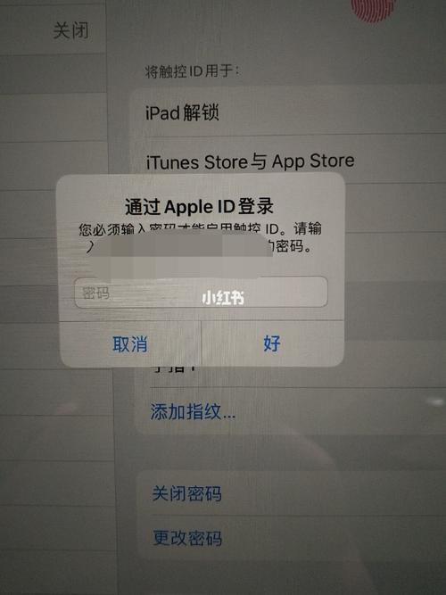 ipad连接服务器id出错是什么意思