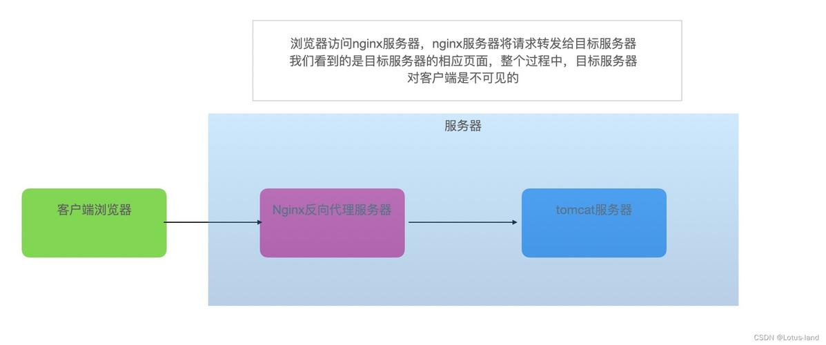 Nginx服务器搭建反向代理全攻略