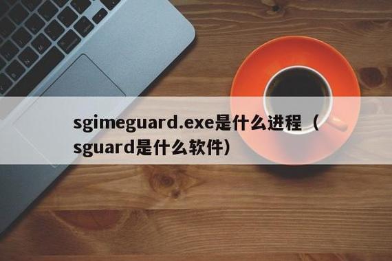 sguard64.exe指的是什么程序