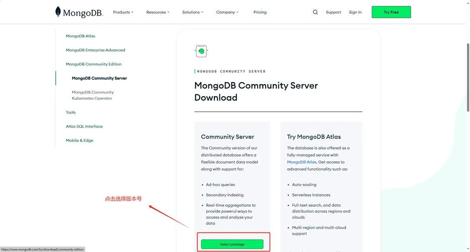 mongodb购买_MongoDB安装