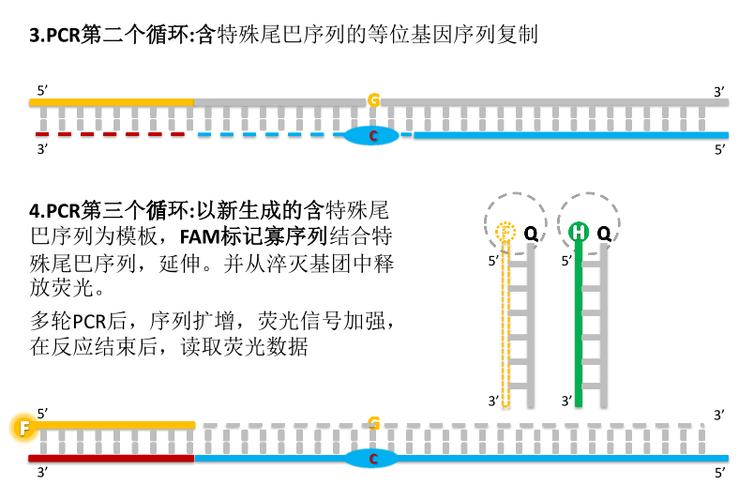 多版本管理_PCR UBTree多版本管理