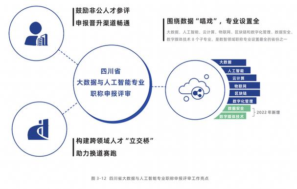 大数据的发展_人才发展