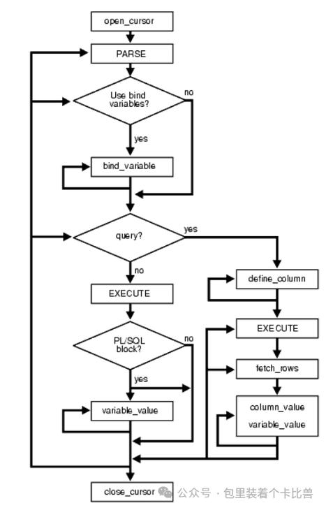 sqldeclare怎么使用