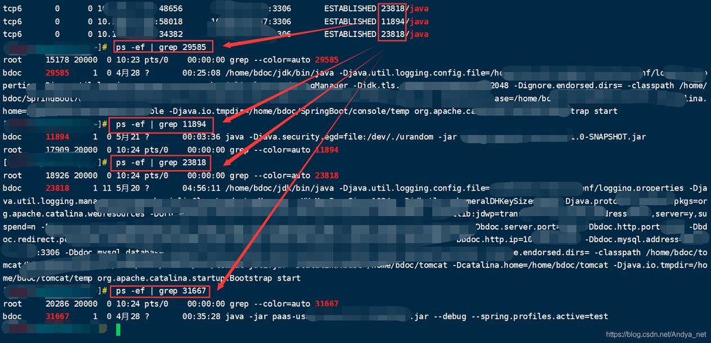 mysql 查看数据库链接_查看元素链接配置