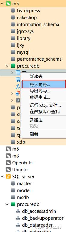 navicat mysql导入数据库_数据库脚本导入