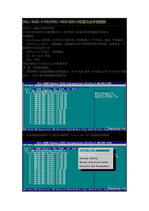 DELL服务器RAID H700,PERC H800阵列卡配置中文完全手册图解