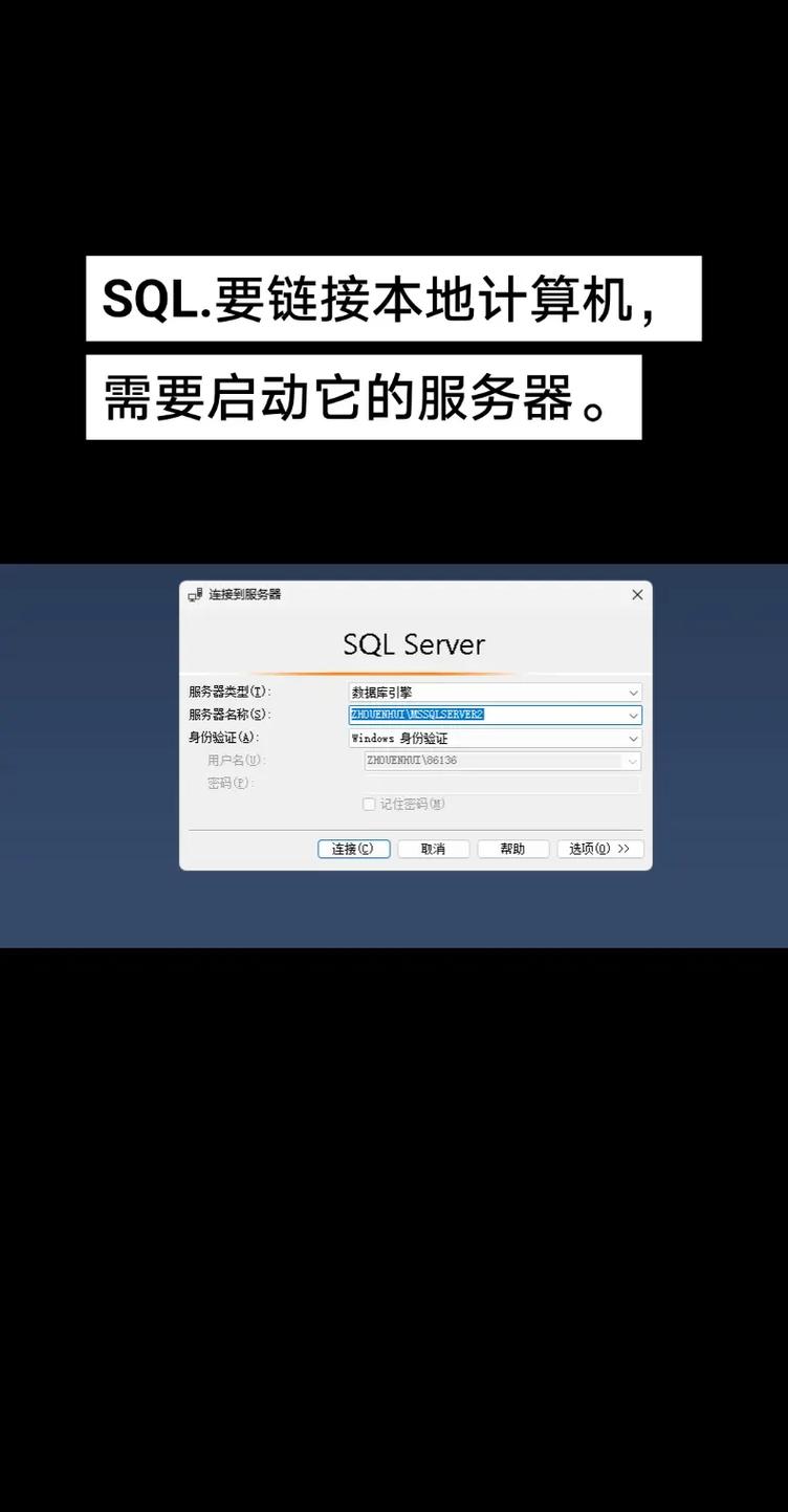 服务器和sql区别是什么意思