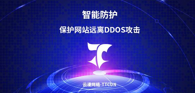 防劫持cdn