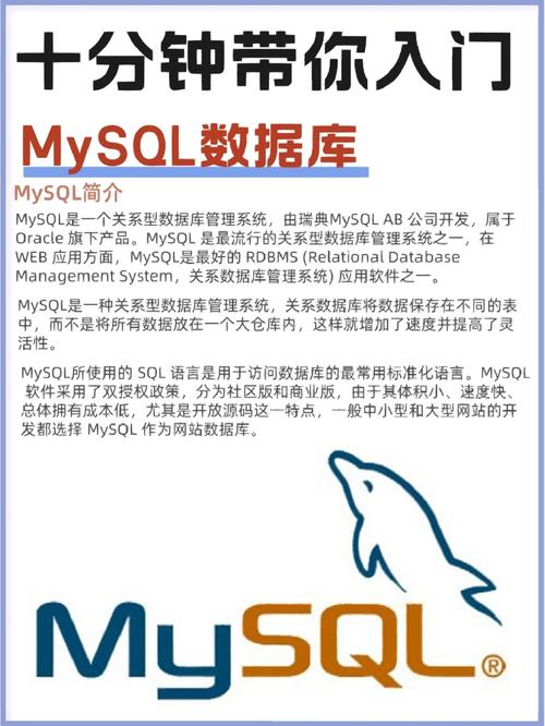 mysql数据库初级证书_初级入门