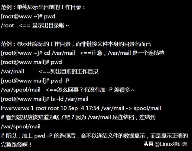 linux中pwd命令使用详解