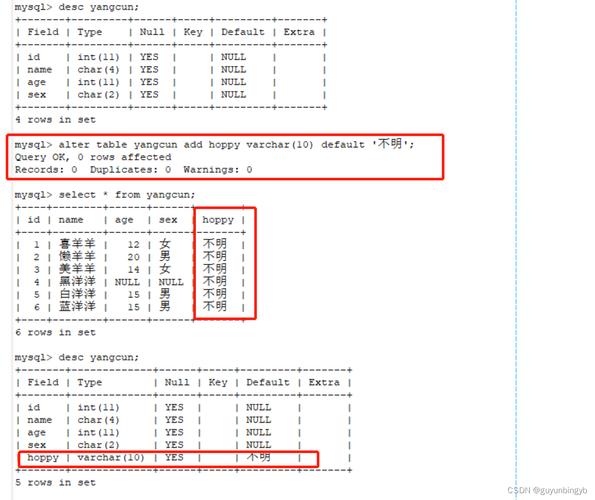 mysql数据库更新命令行_Mysql数据库