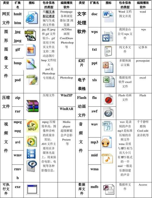 常见的五种文件类型有哪些