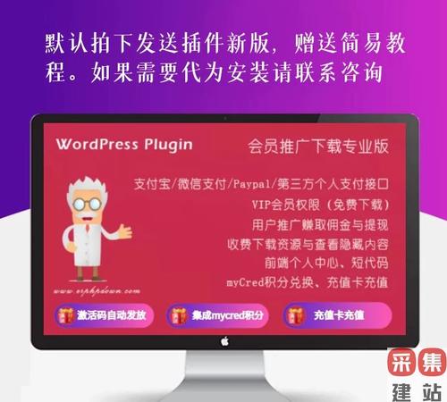 如何为WordPress插件添加在线支付功能