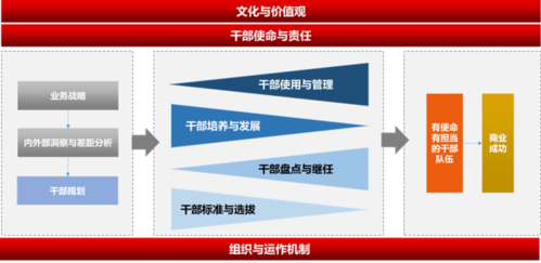 通过扩展增强主干以改善体验