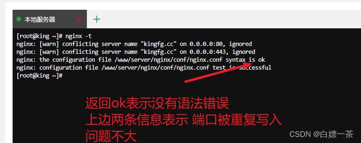 nginx 配置文件服务器_Nginx配置文件格式错误