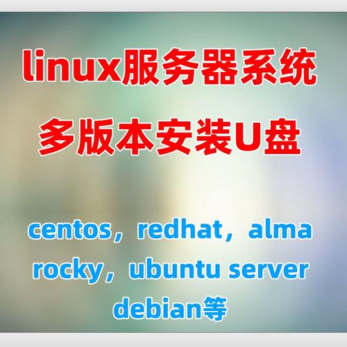 u盘插到linux服务器上叫什么名字