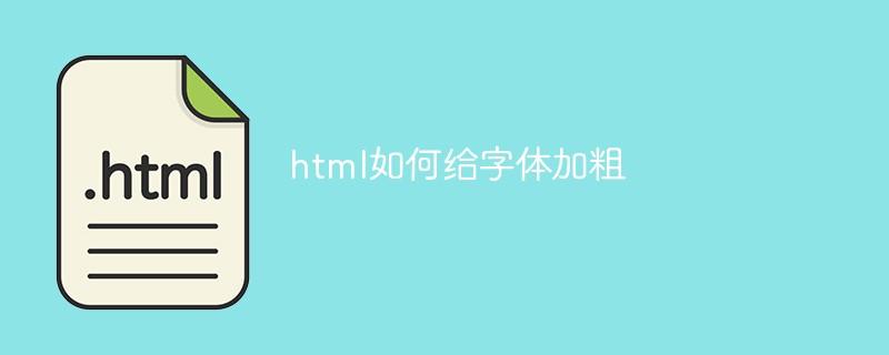 html字体加粗