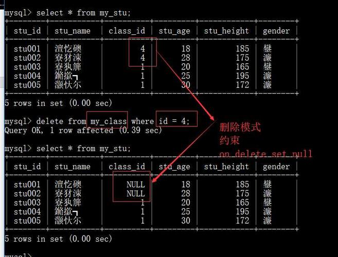 mysql数据库主外键用法_GAUSS03791 GAUSS03800