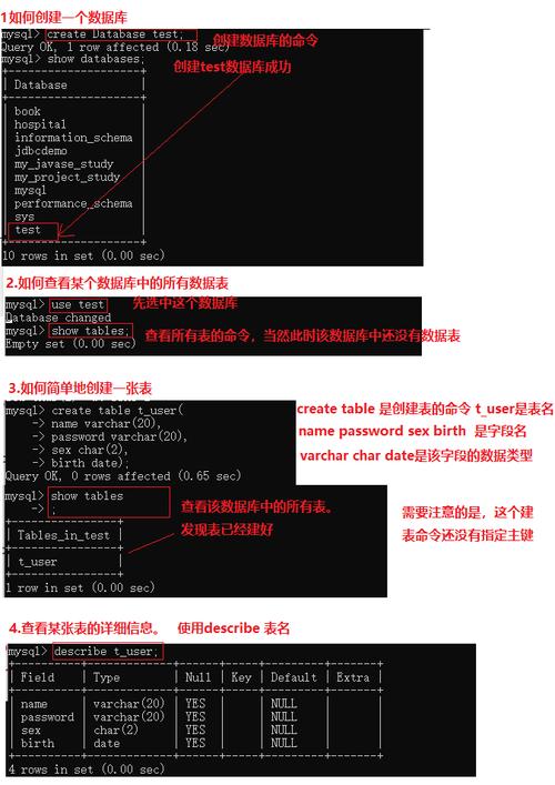 mysql初级数据库_初级入门