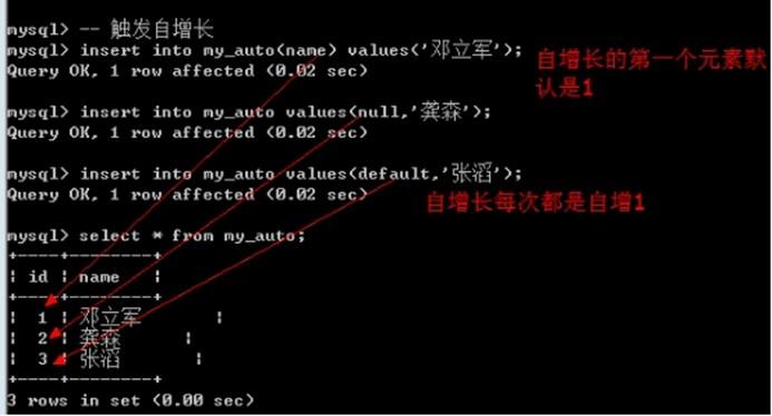 MySQL数据库自增长语法_DDL