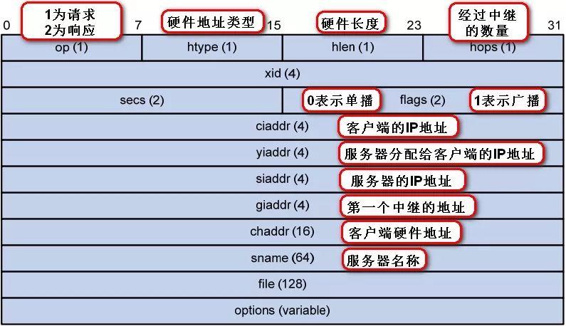 dhcp 独立服务器_全局DHCP