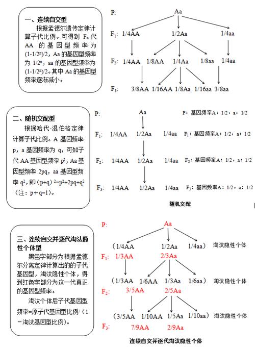 mshtml解析 _解析算子